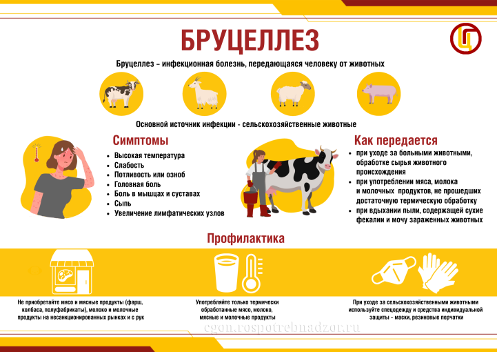 Осторожно! Бруцеллез Осторожно! Бруцеллез.